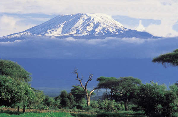 Randonnée au pied du Kilimanjaro